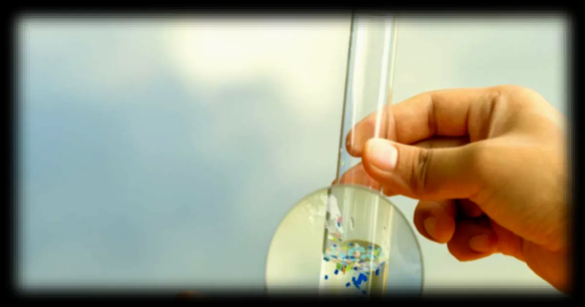 Les microplastiques perturbent nos défenses immunitaires, selon une étude de l'université de Pittsburgh