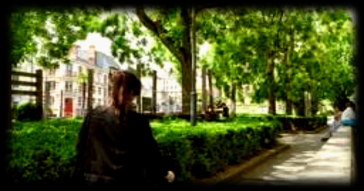 Les municipales et la promesse de planter des arbres : qu'est-ce qui se cache derrière cette volonté ?