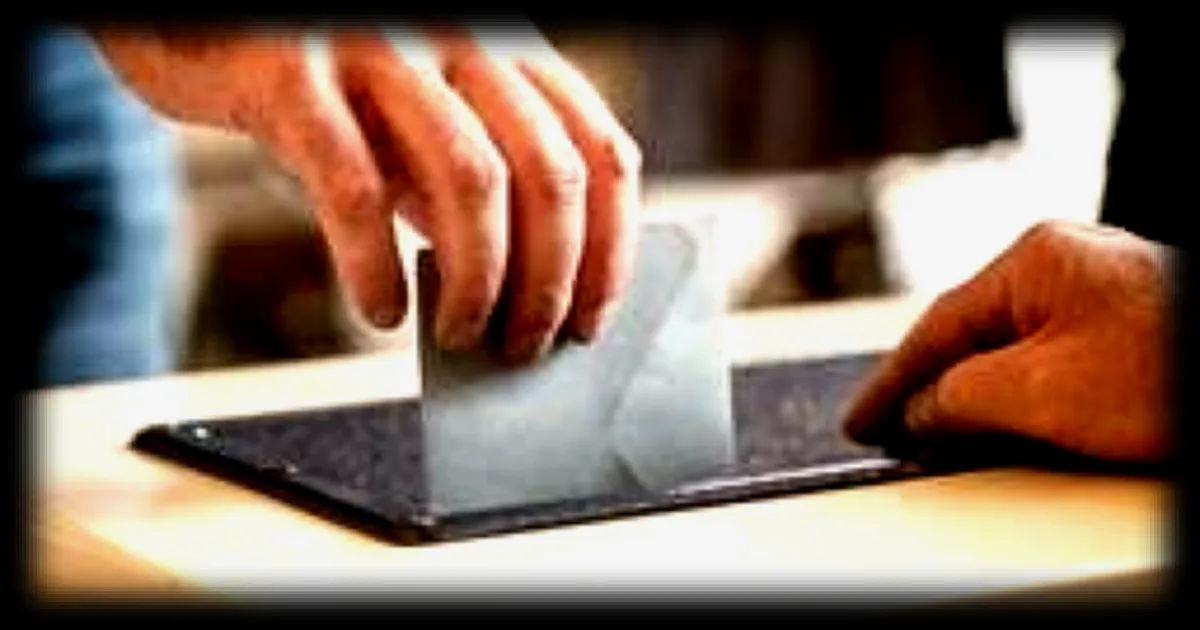 Les noms de listes aux municipales manquent d'originalité