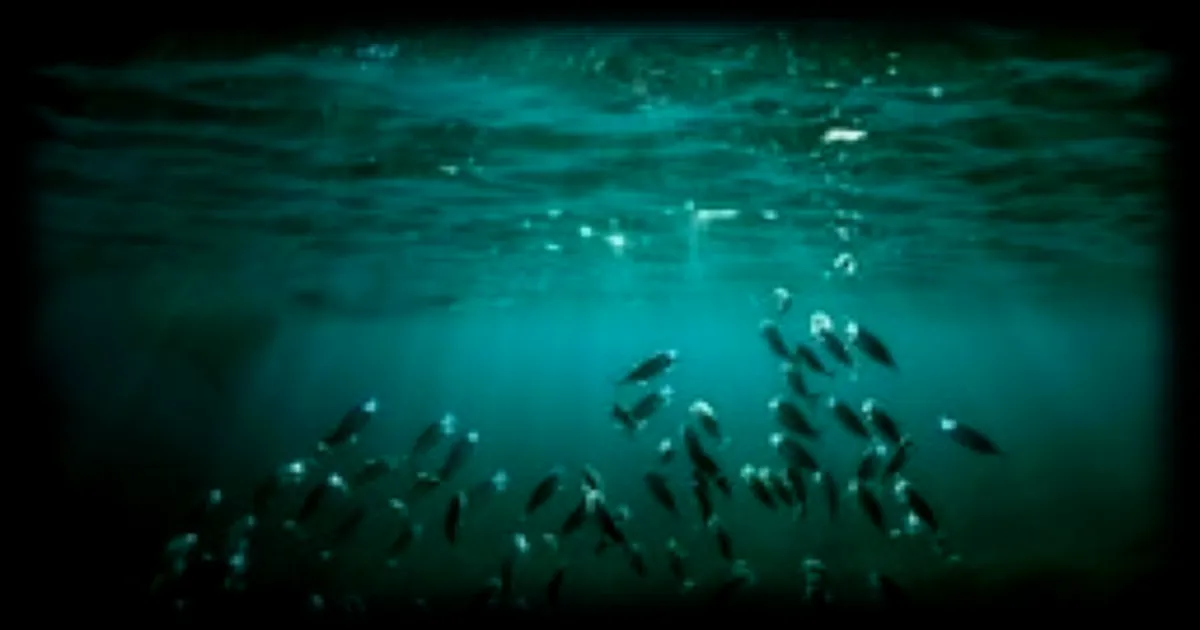 Les océans atteignent un nouveau record de chaleur en juin 2026, selon Copernicus Marine