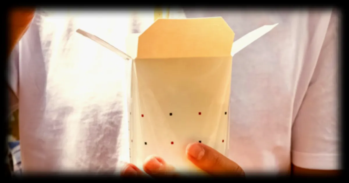 Les pasta box : un produit pratique mais pas toujours sain