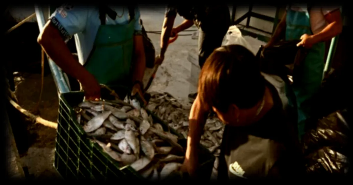 Les pêcheurs du golfe du Mexique exigeant un nettoyage complet après la marée noire