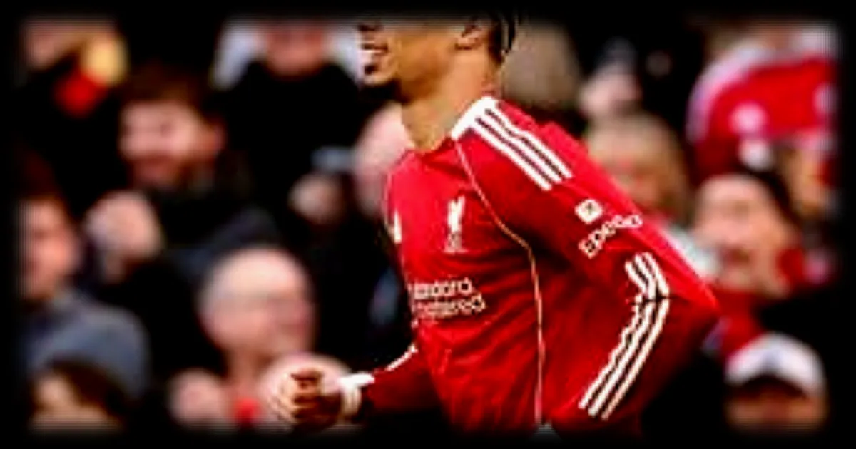 Les performances des Bleus avant la Coupe du monde