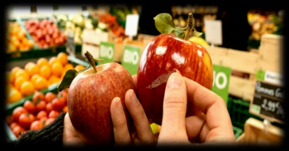 Les pommes ultra brillantes : ce qu'il faut savoir sur leur apparence éclatante