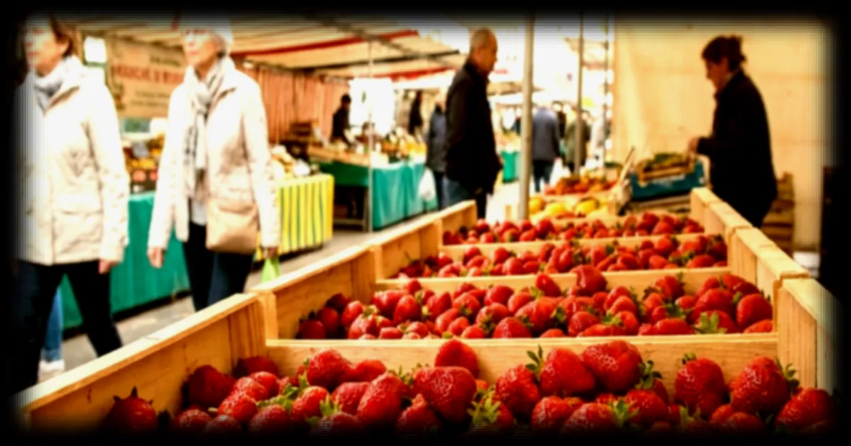 Les premières fraises de la saison : une arrivée imminente