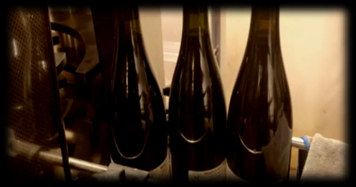 Les producteurs de Beaujolais face à la diminution des exportations : défis et adaptations