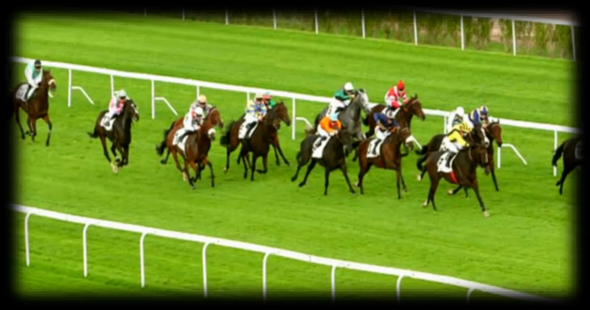 Les pronostics hippiques du dimanche 15 mars 2026 sur l'hippodrome de Saint-Cloud