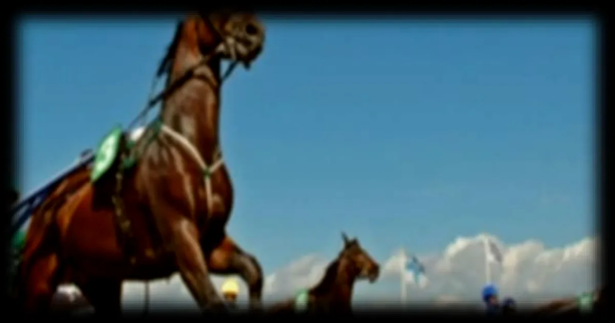 Les pronostics pour le Quinté+ du 15 avril 2026 sur l'hippodrome de Cordemais