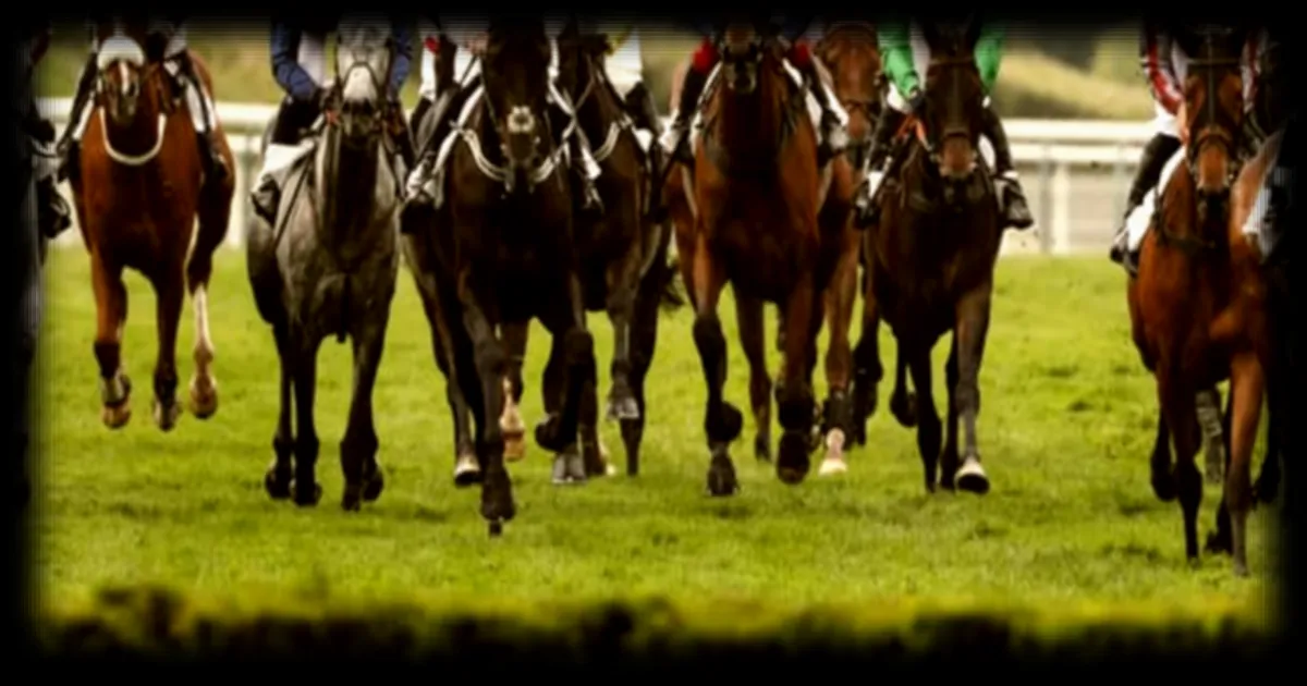 Les pronostics pour le Quinté+ du dimanche 22 mars 2026 sur l'hippodrome d'Auteuil