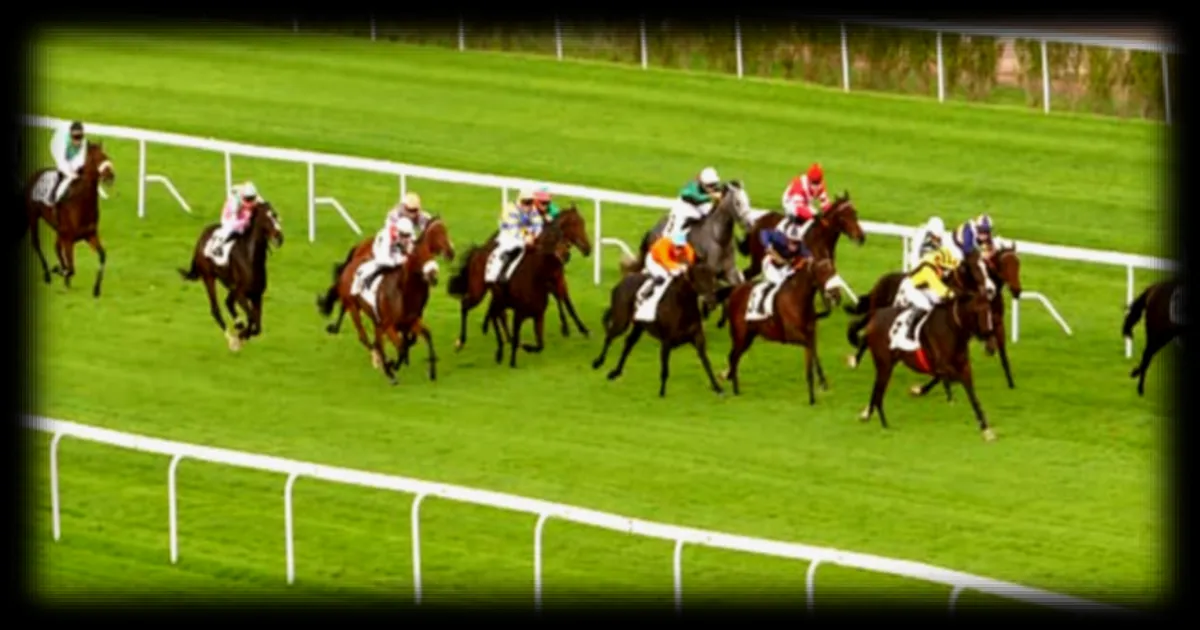 Les pronostics pour le Quinté+ du jeudi 19 mars 2026