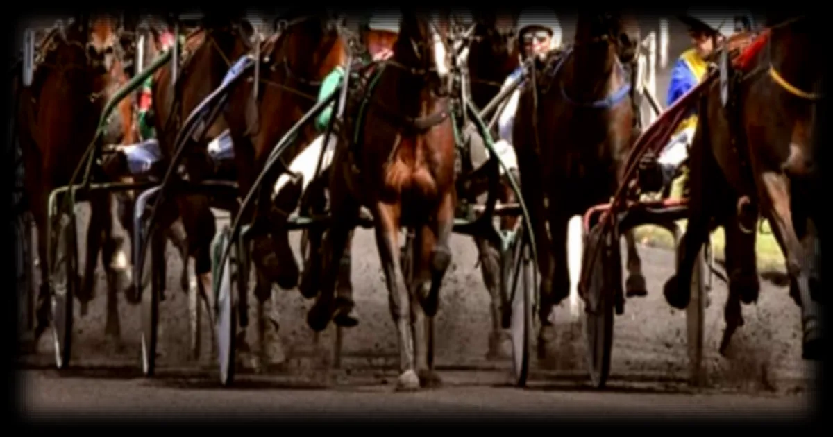 Les pronostics pour le Quinté+ du vendredi 24 avril 2026