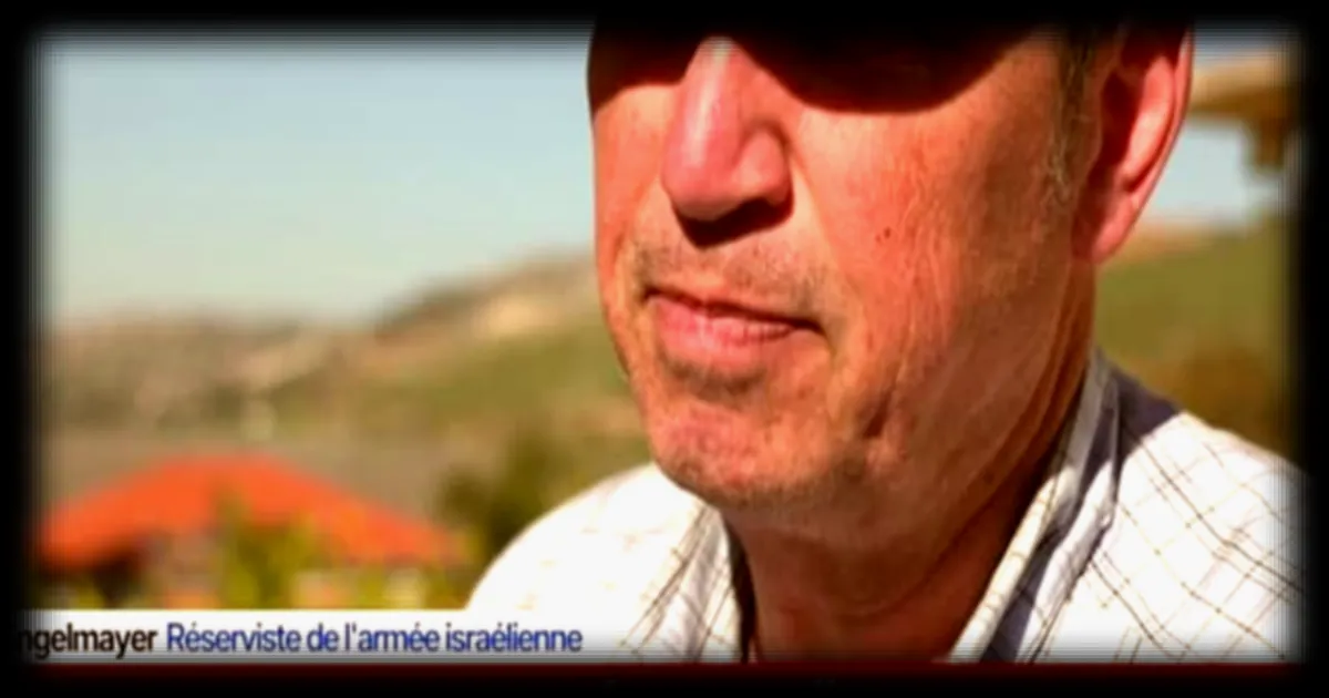 Les propos de David Engelmayer sur le Hezbollah suscitent la controverse au Moyen-Orient