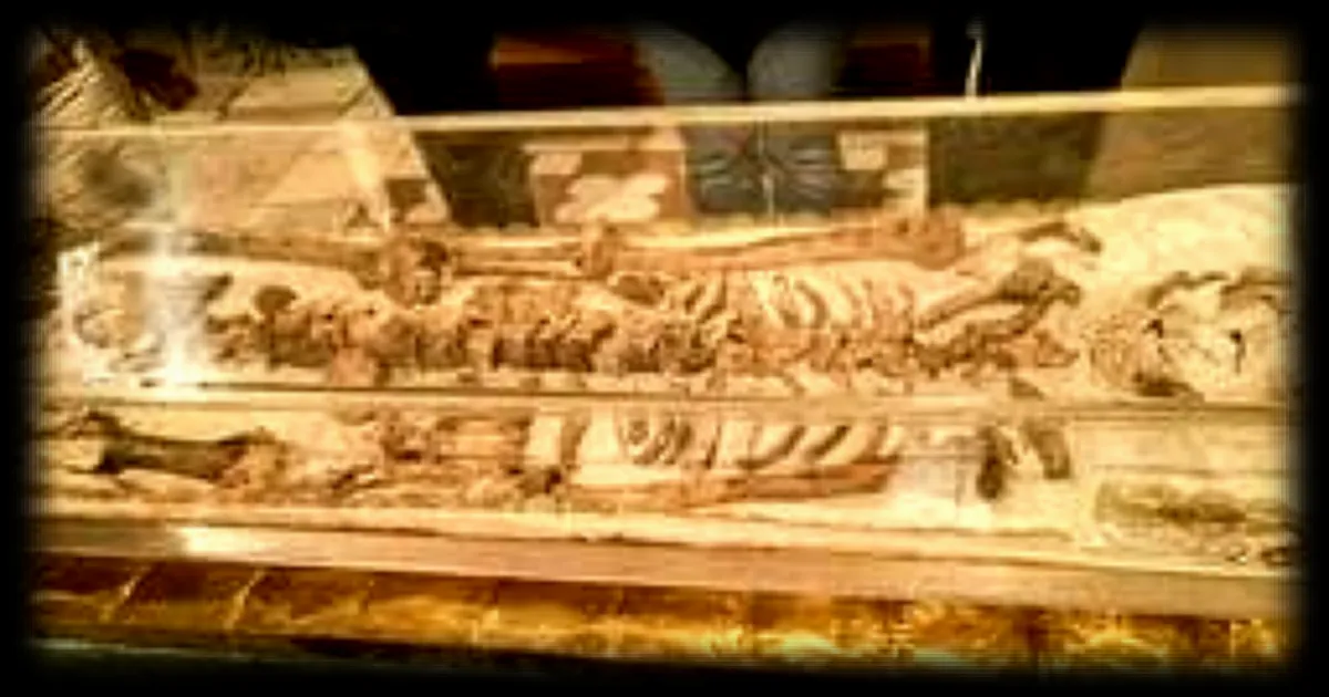 Les reliques de Saint François d'Assise exposées pour la première fois en Italie