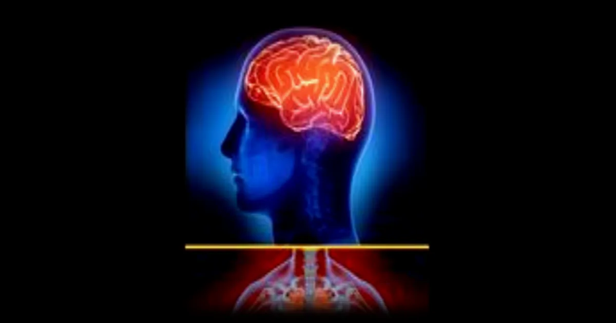 Les risques de la chaleur sur le cerveau : Ce qu'il faut savoir