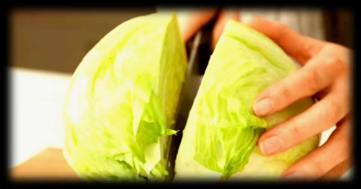 Les salades : une histoire de nutrition et de choix