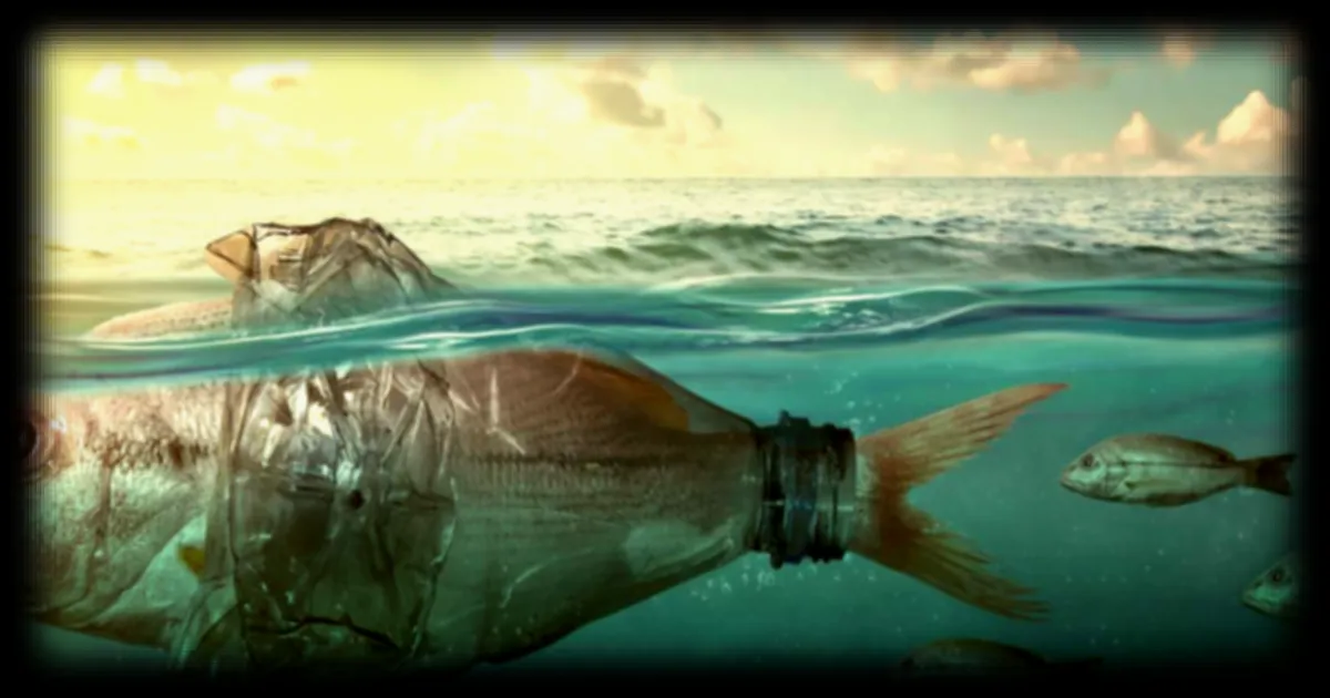 Les scientifiques sous le choc : l'océan accumule des produits chimiques d'origine humaine à notre insu