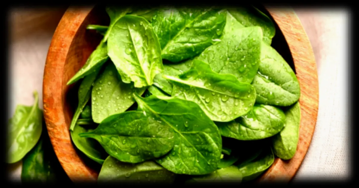 Les secrets pour optimiser l'absorption du fer avec les épinards