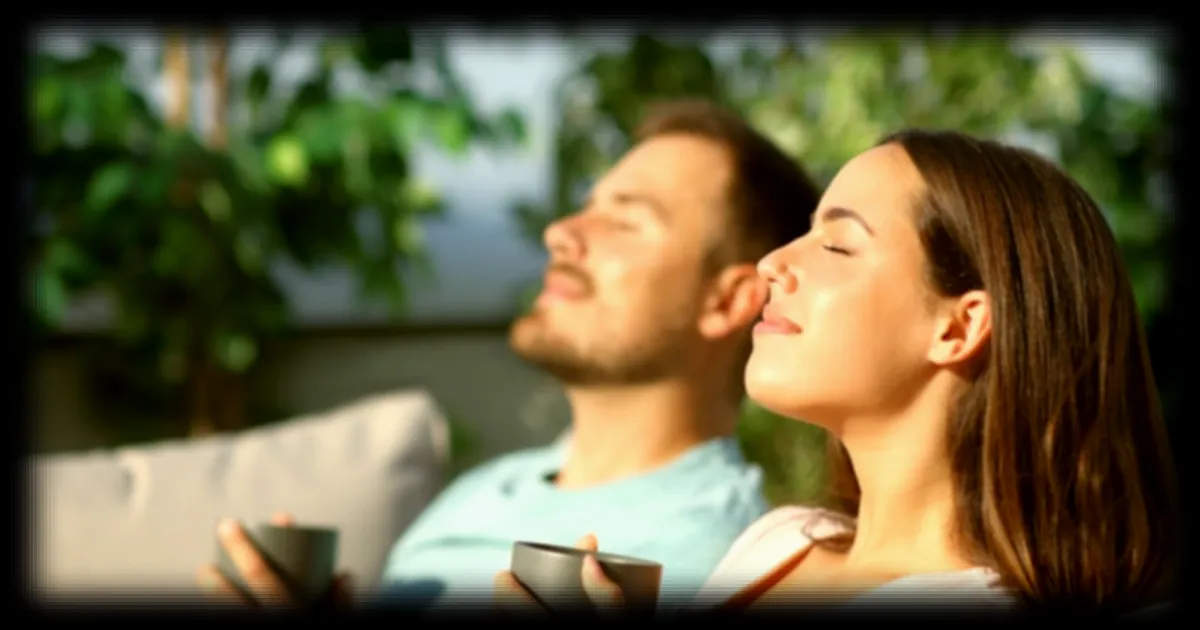 L'exposition à la lumière naturelle du matin, un geste simple recommandé par un cardiologue pour améliorer le sommeil