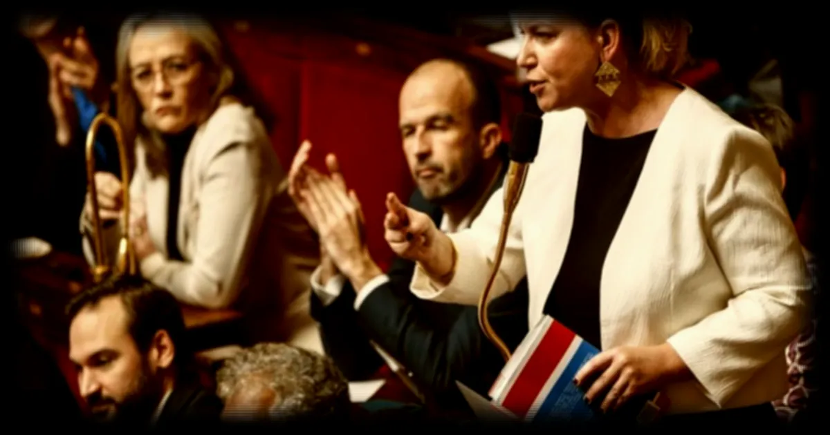 LFI conteste devant le Conseil constitutionnel l'interdiction des réseaux sociaux pour les moins de 15 ans