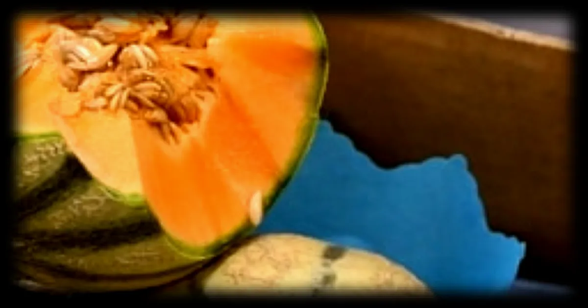 Lidl procède au rappel de melons charentais en raison d’un dépassement de la limite maximale de résidus d’insecticide