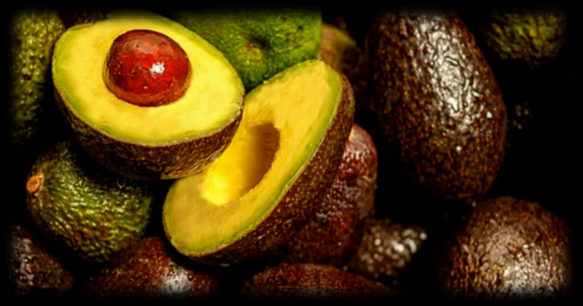 Lidl retire en urgence plusieurs lots d’avocats en raison de la présence de métaux lourds