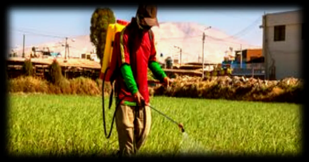Lien établi entre l'exposition aux pesticides et les cancers par des chercheurs français et péruviens