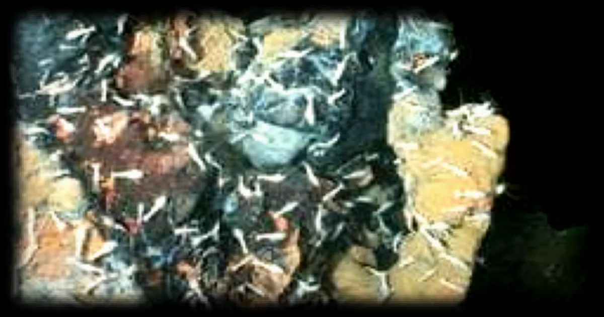 L'Ifremer explore les geysers sous-marins de l'Atlantique à bord du navire océanographique 'Pourquoi pas?'