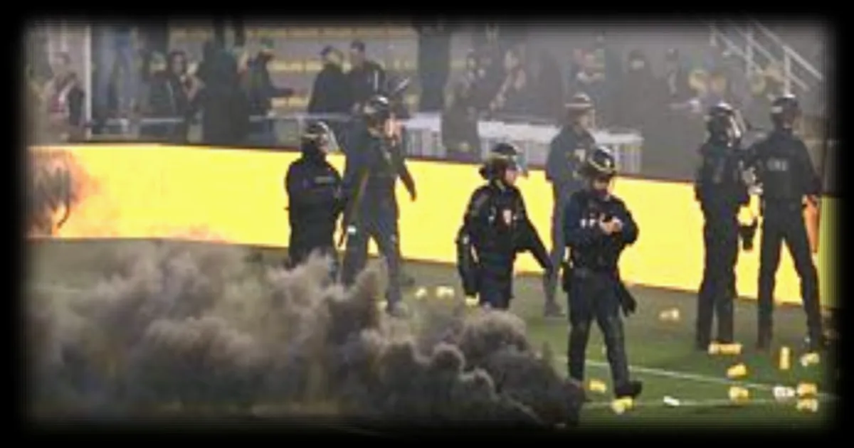 Ligue 1 : la LFP ouvre deux enquêtes après les envahissements de terrain à Nantes et Nice