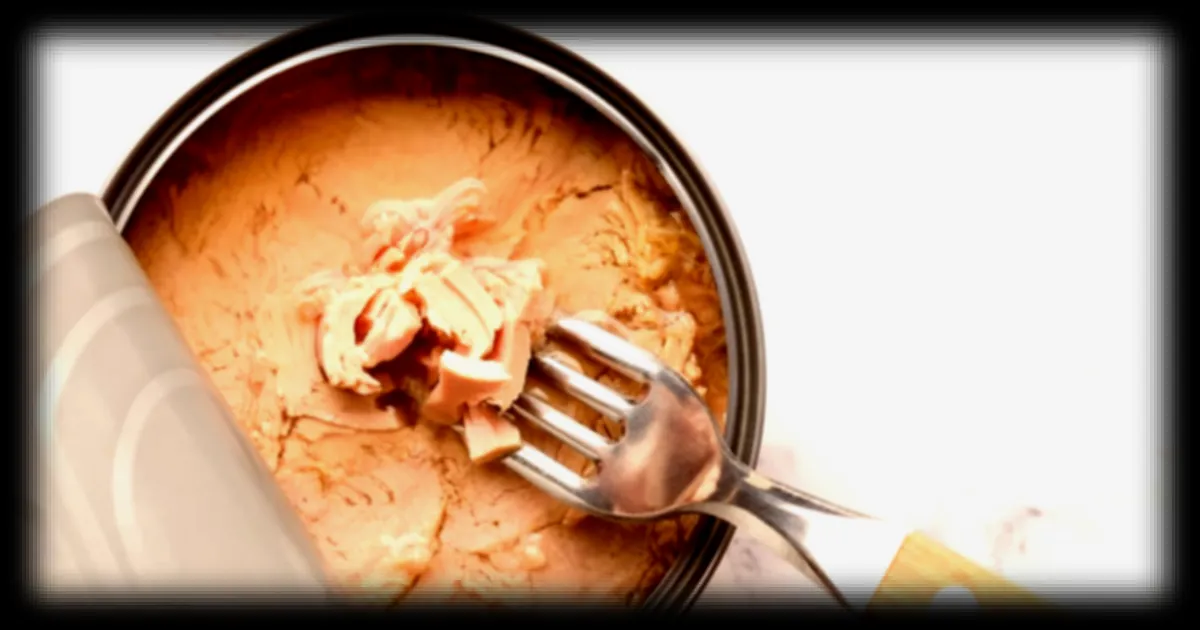 L'importance de conserver les nutriments du thon