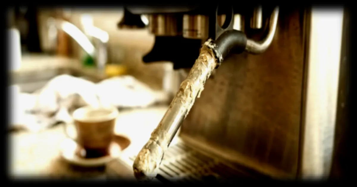 L'importance du nettoyage de la buse à lait dans les machines à café pour prevenir la proliferation de bactéries