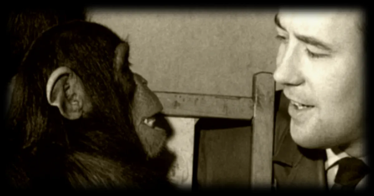 L'incroyable histoire de Congo, le chimpanzé qui a conquis le cœur de Picasso