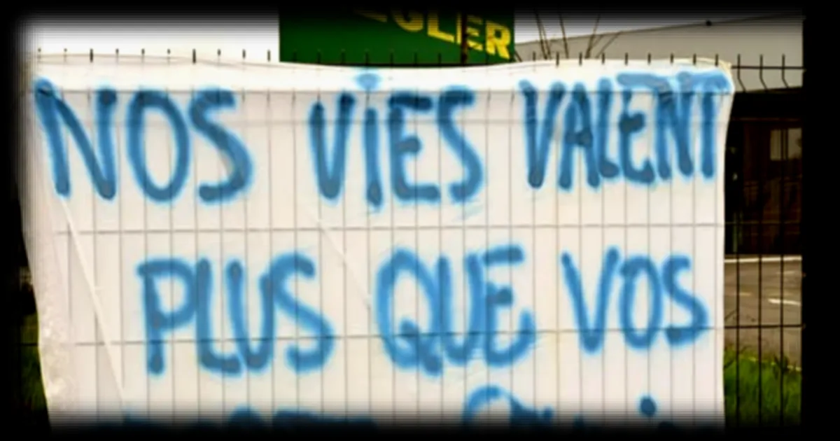 Liquidation judiciaire du transporteur Ziegler France : 1 500 employés concernés, une décision contestée par les salariés