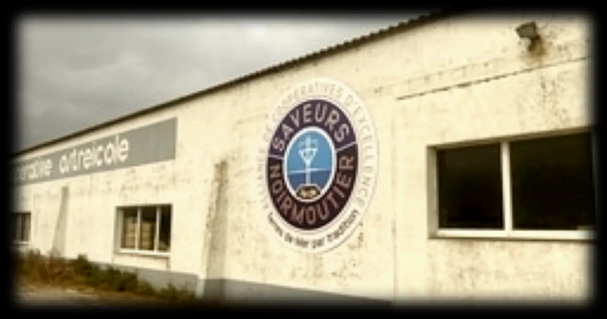 Liquidation judiciaire d’une coopérative ostréicole de Vendée après la perte de son agrément sanitaire