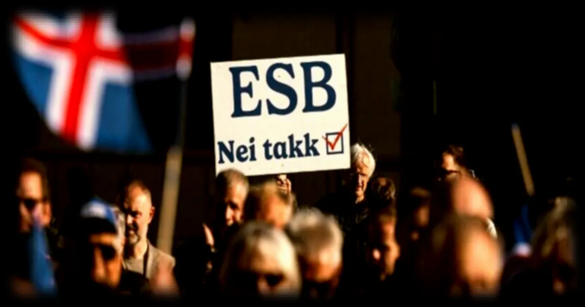 L'Islande tourne définitivement la page sur une adhésion à l'UE après un référendum historique