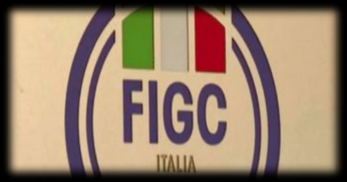 L'Italie déçue après l'élimination de la Squadra Azzura lors des barrages du Mondial de football