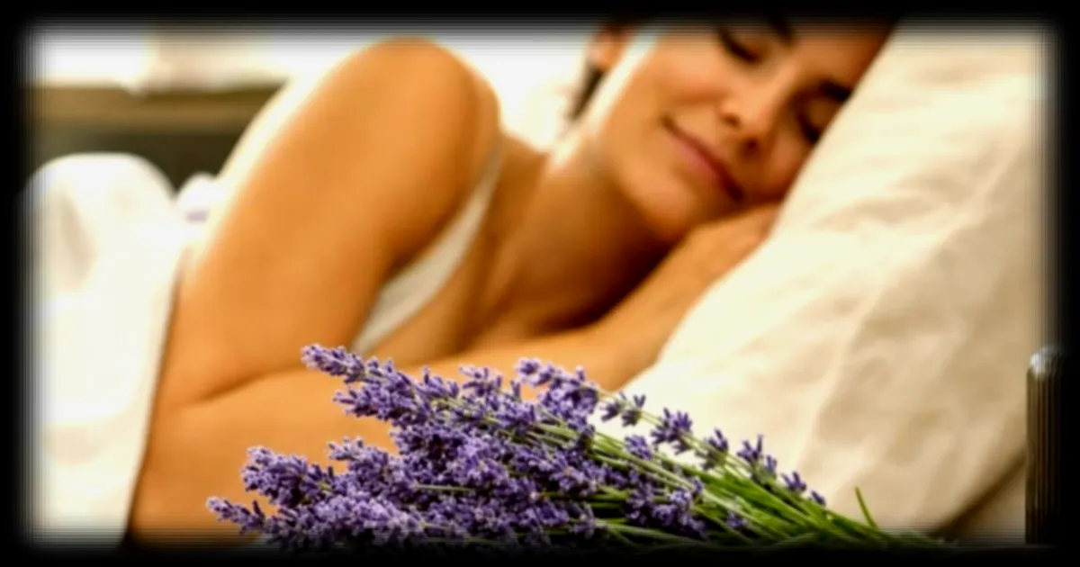 L'odeur de lavande, un remede naturel contre l'anxiété ?