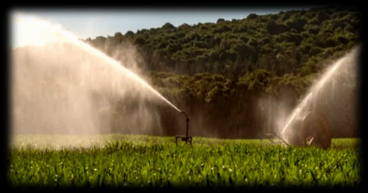 Loi d'urgence agricole : le Medef craint un déséquilibre dans l'accès à l'eau entre agriculture et entreprises
