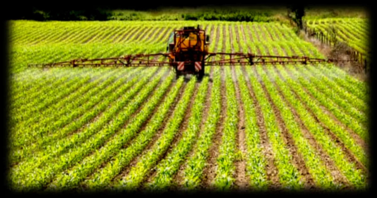 Loi d’urgence agricole : réintroduction de l’acétamipride et mesures de compétitivité sous le feu des critiques