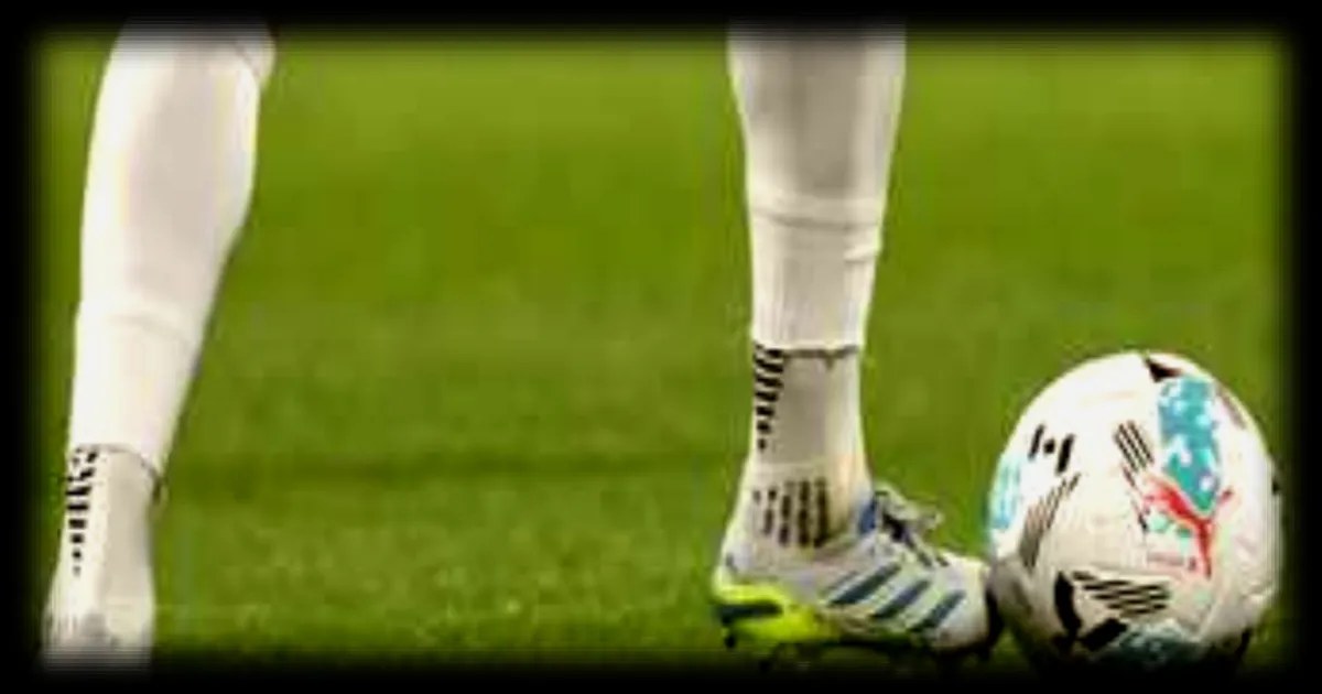 Loi sur le sport professionnel : les mesures pour lutter contre le streaming illégal