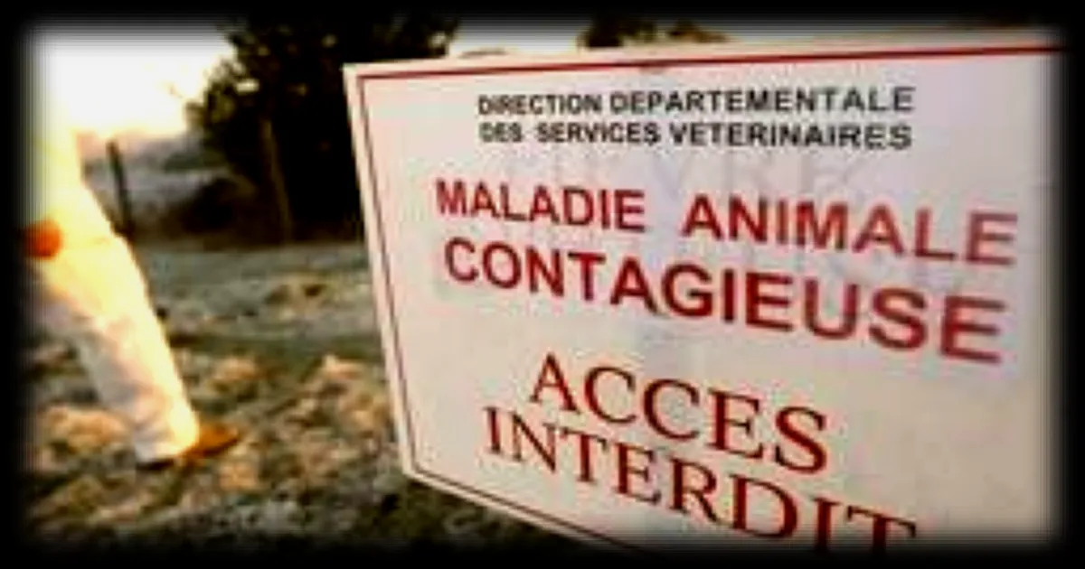 L'OMSA alerte sur le sous-financement des services vétérinaires, un risque pour la santé mondiale