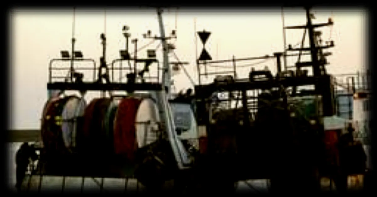 L’ONG Bloom dénonce une « oligarchie » industrielle dans la gouvernance de la pêche française