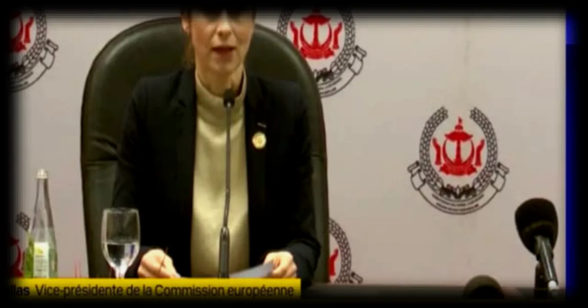 L'UE met en garde sur la liberté de navigation dans le détroit d'Ormuz