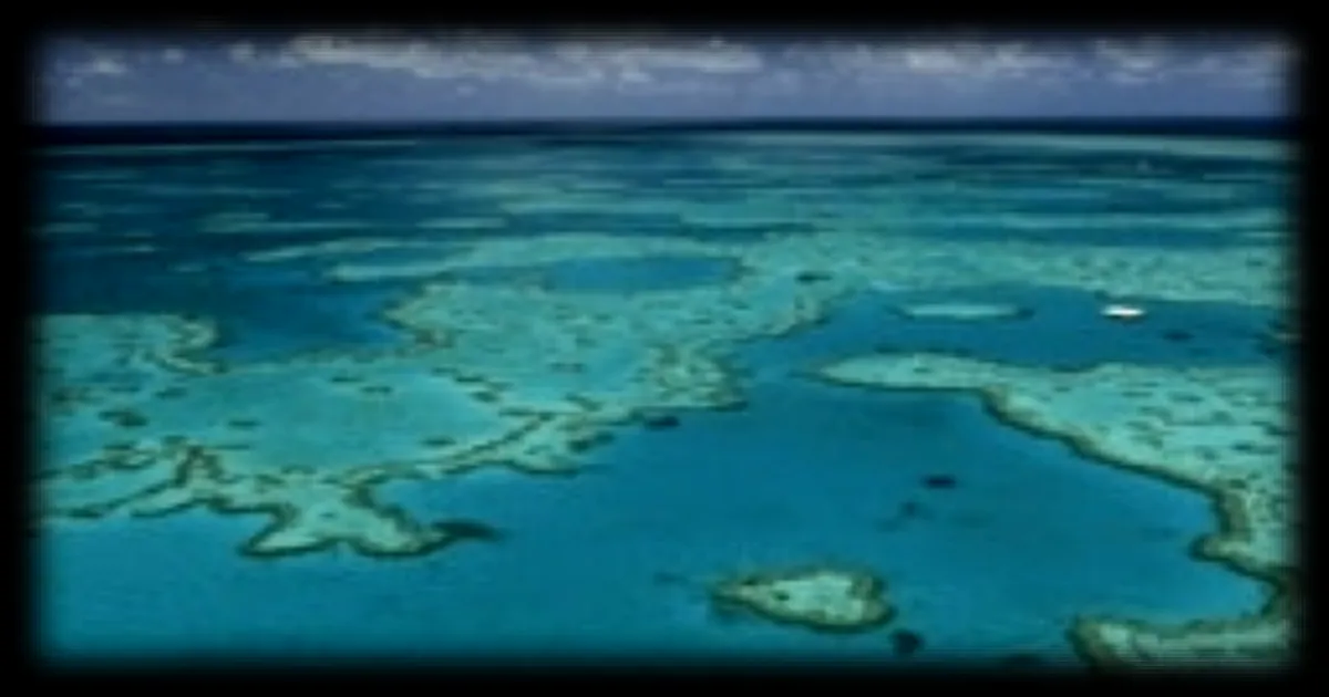 L'UNESCO ne classe pas la Grande Barrière de corail « en péril », mais s'inquiète de son état