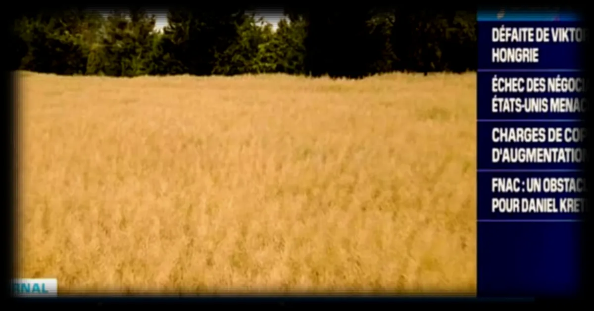 L'Union Europeenne confrontee a la hausse des couts des engrais