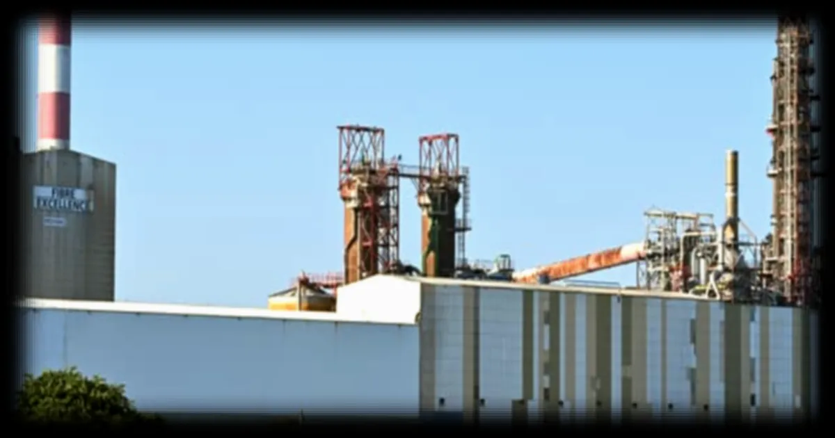 L'usine Fibre Excellence de Tarascon liquidée judiciairement : 270 emplois menacés