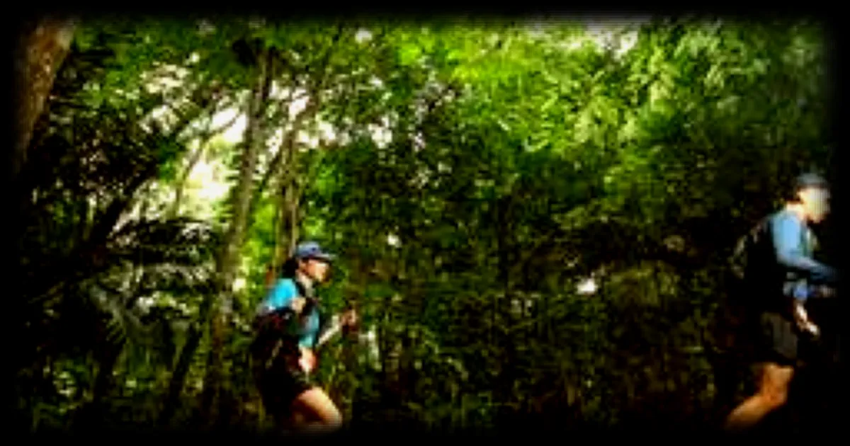 L’UTMB World Series s’étend au Vietnam avec une nouvelle épreuve en janvier 2027