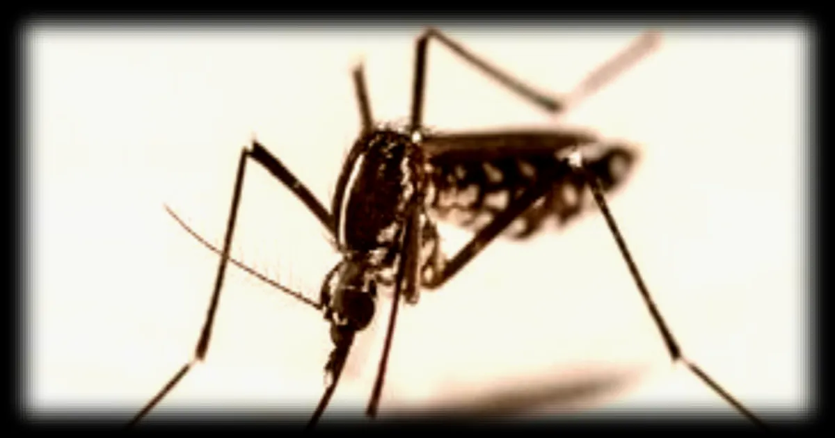 Lutte anti-nuisibles : le secteur en pleine expansion face à l'invasion silencieuse d'espèces invasives