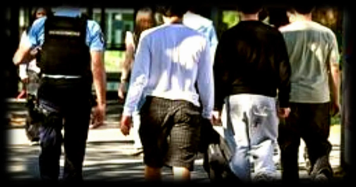 Lycéenne poignardée à Ancenis : les révélations du frère du suspect