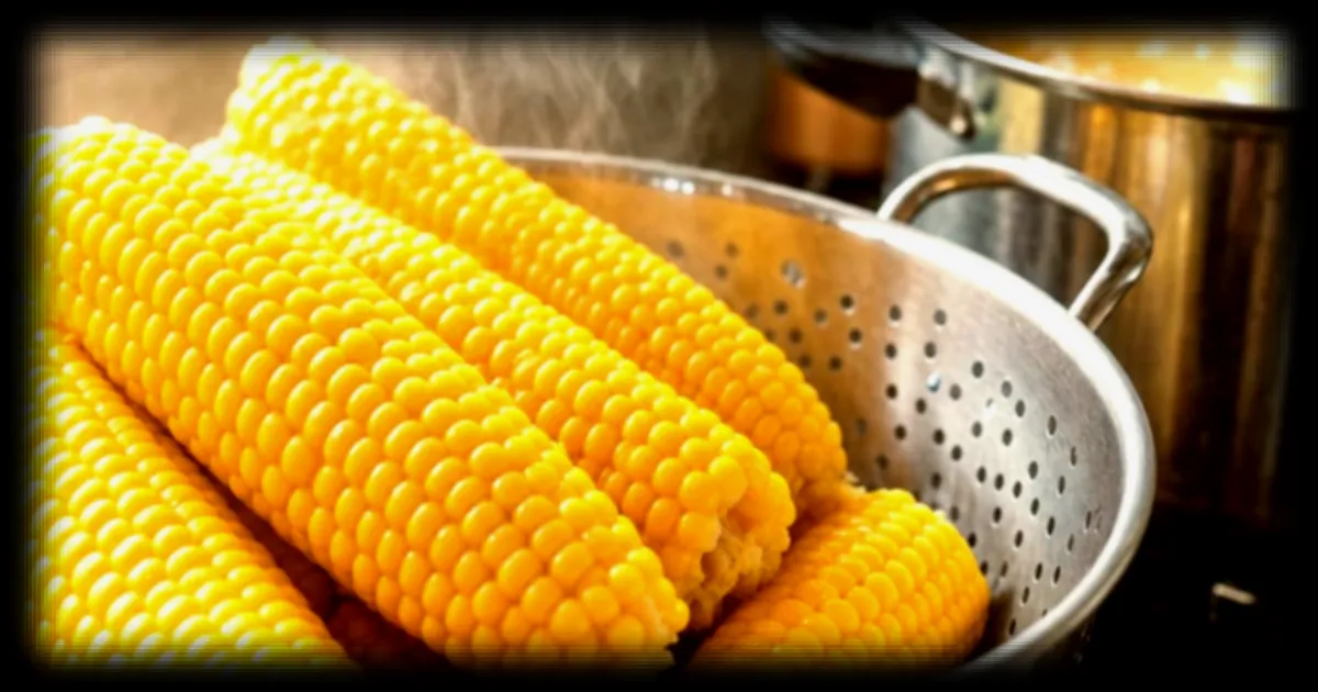 Maïs en épi : la cuisson parfaite pour des grains juteux et croquants