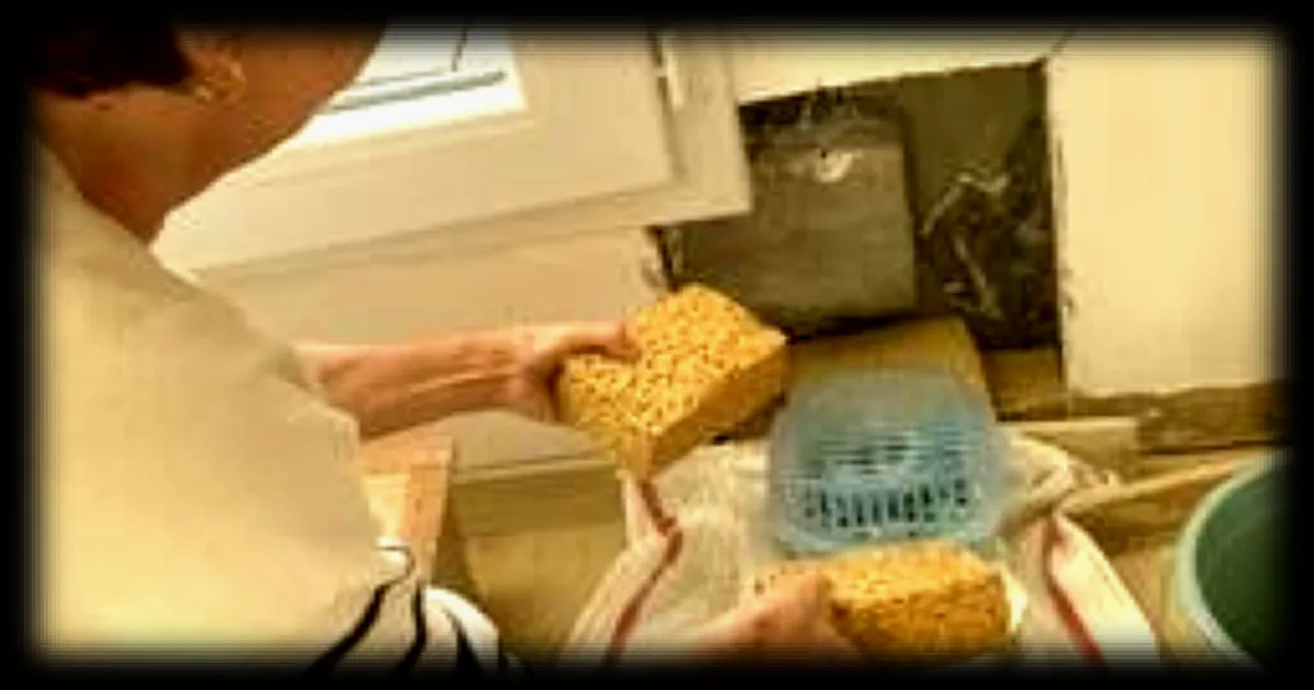 Malfaçons à Vannes : quinze ans de lutte pour Nadine Biger face aux infiltrations persistantes